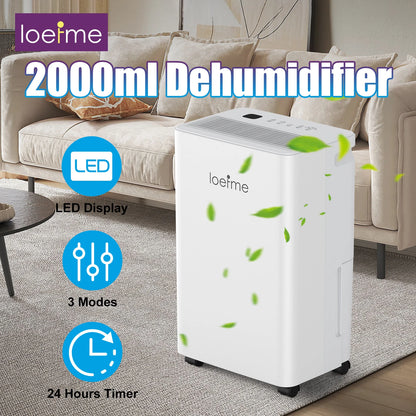 LOEFME 2L Dehumidifier Moisture Absorbers Home Air Dryer Electric Dehumidifier 12L/Day Dehumidification Timer 3 Modes W/ 3M Hose.