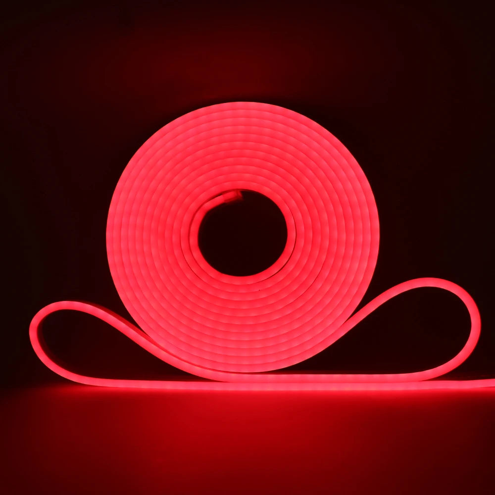 5V 12V 24V Neon LED Strip With 2Pin Wire 120LEDs/M IP67 Silicon Tube Bar Lamp Soft Flexible DIY Light Sign Rope 3000K-6500K.