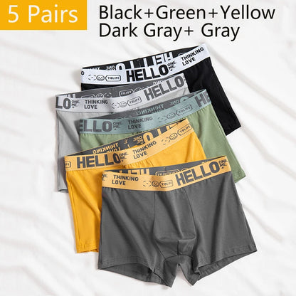 5PCS Boxer Höschen Männer Brief Unterwäsche Badehose Sexy Unterhose Atmungsaktivem Weiche Baumwolle Höschen Boxer Shorts Plus Größe