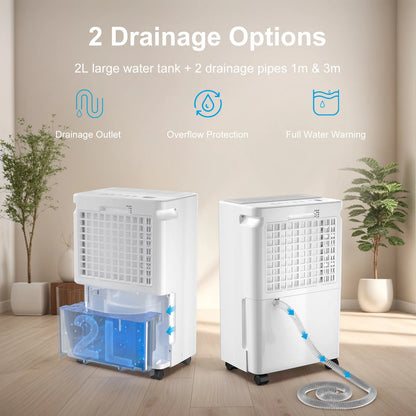 LOEFME 2L Dehumidifier Moisture Absorbers Home Air Dryer Electric Dehumidifier 12L/Day Dehumidification Timer 3 Modes W/ 3M Hose.