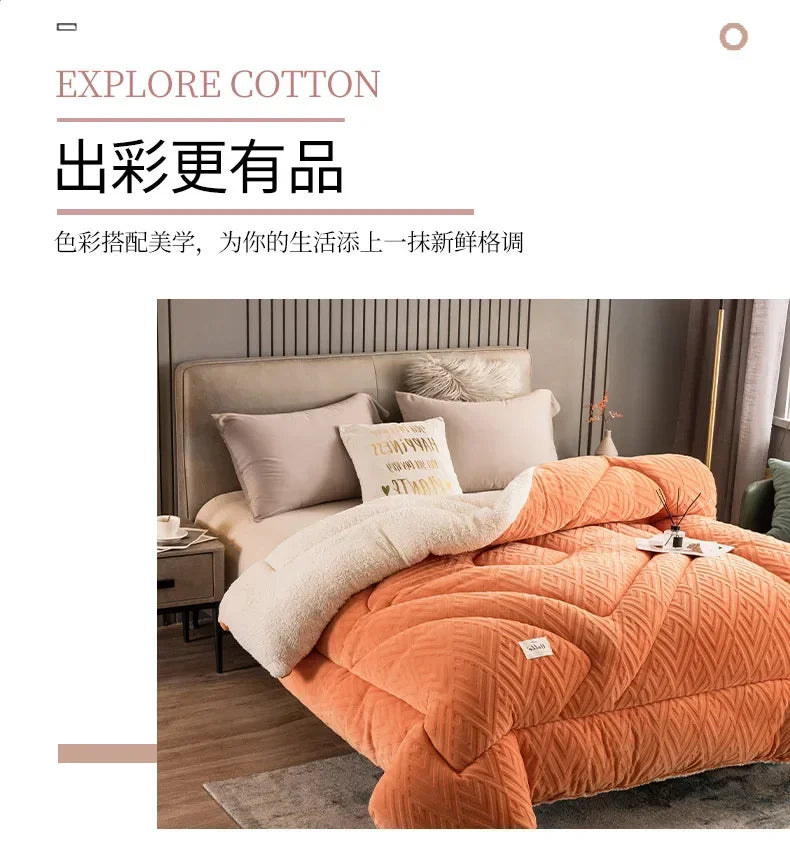 Super Warm Lamb Wool Quilt Winter Thickened Cotton Quilt Warm Cotton Double Sided Velvet Soft Extra Large Blanket 이불.