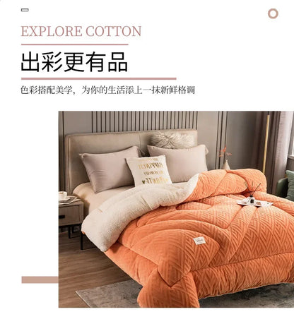 Super Warm Lamb Wool Quilt Winter Thickened Cotton Quilt Warm Cotton Double Sided Velvet Soft Extra Large Blanket 이불.