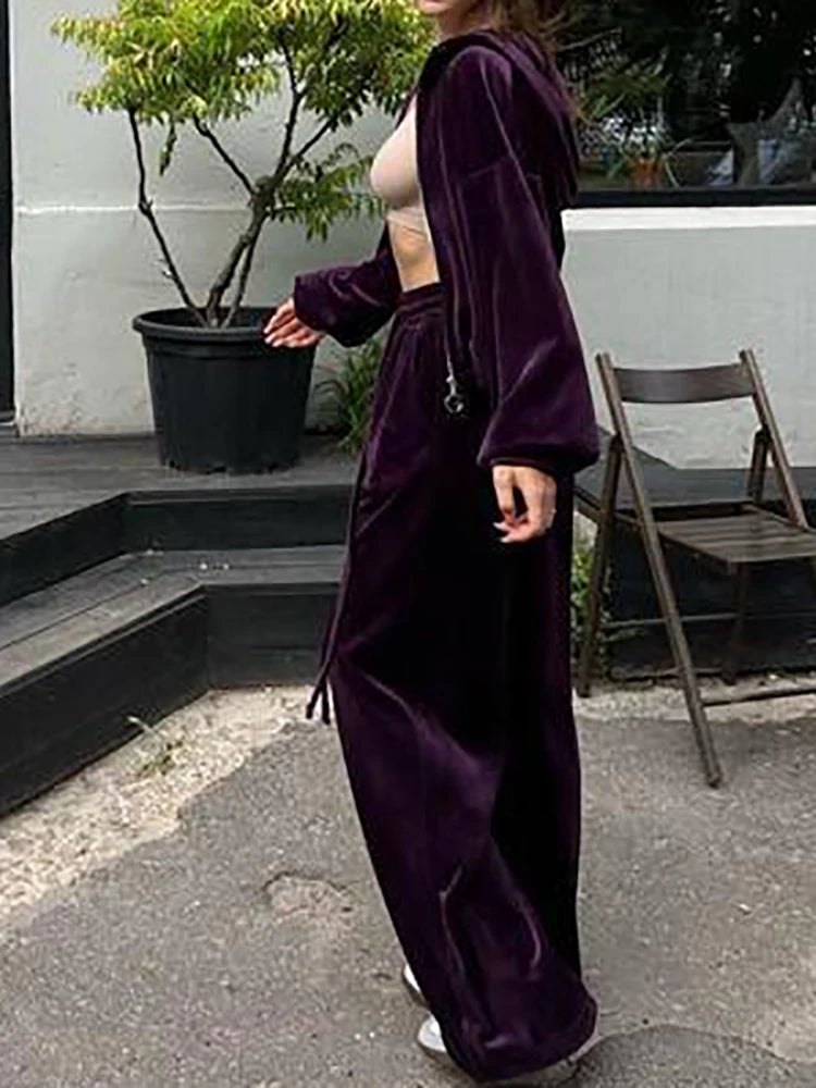 Women Autumn Hooded Coat Two Pieces Sets, Solid Patchwork Wide Leg Pants Chic Outfit, New Long Sleeve Casual Simple Ladies Suits