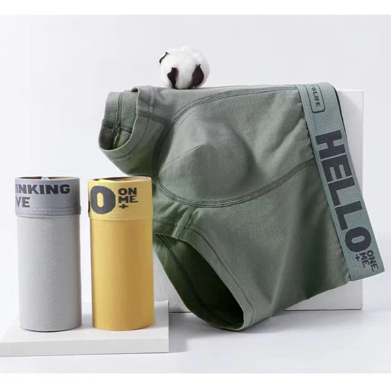 5PCS Boxer Höschen Männer Brief Unterwäsche Badehose Sexy Unterhose Atmungsaktivem Weiche Baumwolle Höschen Boxer Shorts Plus Größe