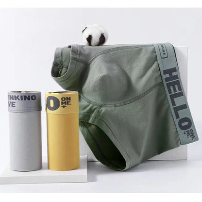 5PCS Boxer Höschen Männer Brief Unterwäsche Badehose Sexy Unterhose Atmungsaktivem Weiche Baumwolle Höschen Boxer Shorts Plus Größe