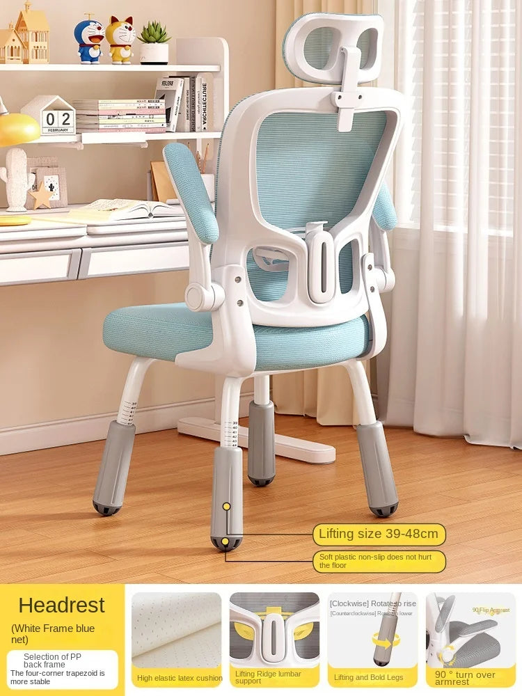 Computerstuhl, Heimsitz, Taille, Studentenschreibtisch, Arbeitsstuhl mit Lift und verstellbarer Rückenlehne