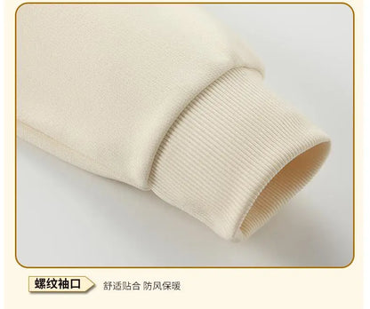 XH-528 2025 Autumn New Regular Fit Lightweight 360gsm Thermal Fabric Half Zip Sweatshirts Men Pullovers.