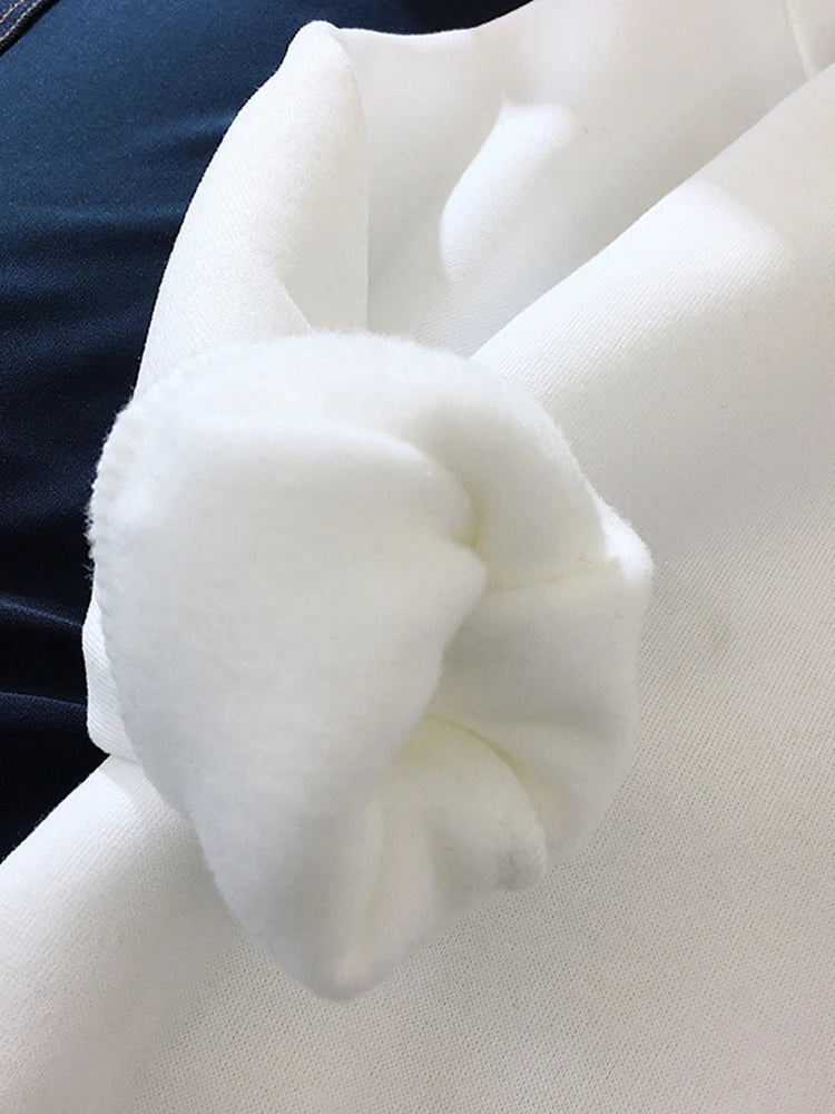 Blessyuki niedlichen Cartoon Panda gedruckt Hoodies Frauen lässig lang ärmel ige Basic Student Sweatshirt plus Größe Paar Kleidung y2k Top.