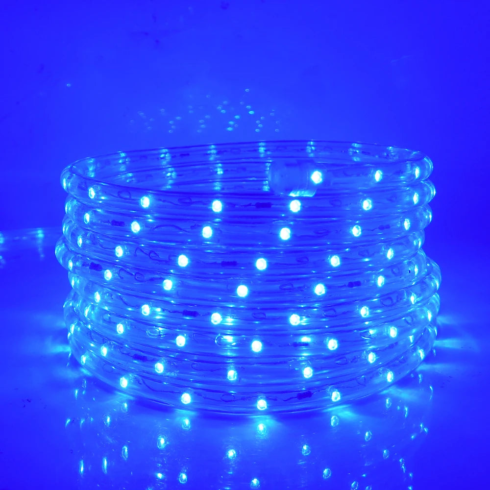 110V 220V Rainbow LED Round 2 Wire Srtip Light 30 36LED Yellow Red Blue Warm Outdoor Waterproof Christmas Party Decor EU US Plug