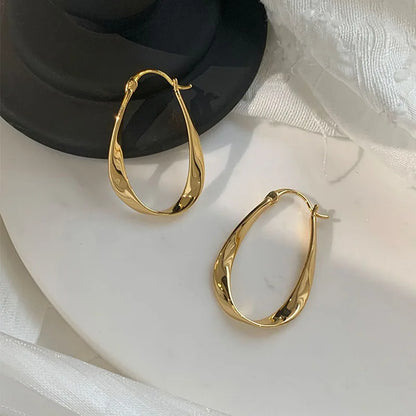 Silver Color Geometric Twisted Hoop Earrings for Women Mobius Strip Compact Earring Femininity Ear Euckle Jewelry Accessorie.