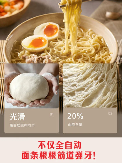 220V Automatic Smart Mini Electric Noodle Pasta Maker Machine for Home Use AF.