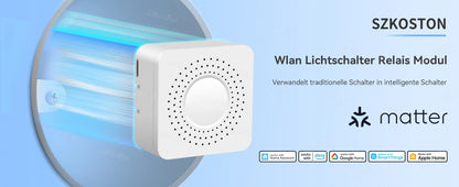 Matter WiFi Smart Switch 16A Smart Home Lichtschalter Relaismodul Sprachsteuerung Funktioniert mit Alexa Google Homekit Smartthings Tuya.