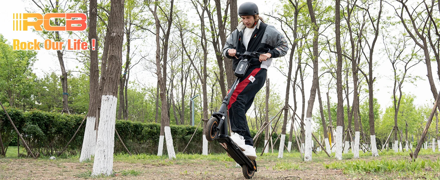 RCB 350W Foldable Electric Scooter for Adult ABE, Double Brake Waterproof Body E-Scooter, 10in Honeycomb Tires 120kg Capacity.