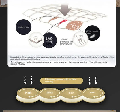 Down duvet 95 white goose down five-star hotel warm double single duvet core goose down duvet.