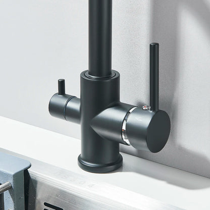 Balck Kitchen Filtered Faucet Brass Purifier Faucet Dual Sprayer Drinking Water Beige with Dot Vessel Sink Mixer Tap Torneira