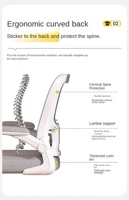 Computerstuhl, Heimsitz, Taille, Studentenschreibtisch, Arbeitsstuhl mit Lift und verstellbarer Rückenlehne