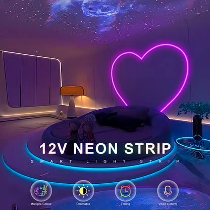 Tuya Smart WiFi LED Neon Light Strip 12V Black Silica Gel Tube RGB Bluetooth APP Neon Lamp Tape For Home Room Christmas Decor.