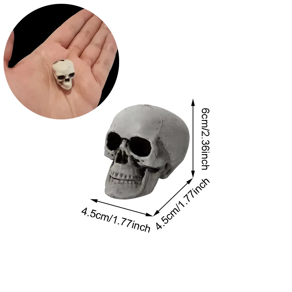 Halloween-Schädel-Dekoration, realistischer Kunststoff-Schädel, Kopfskelett, Halloween-Party, Haushof-Dekoration, Spukhaus-Horror-Requisiten.