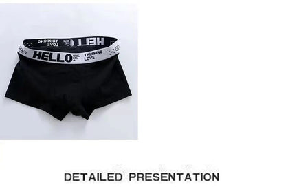 5PCS Boxer Höschen Männer Brief Unterwäsche Badehose Sexy Unterhose Atmungsaktivem Weiche Baumwolle Höschen Boxer Shorts Plus Größe