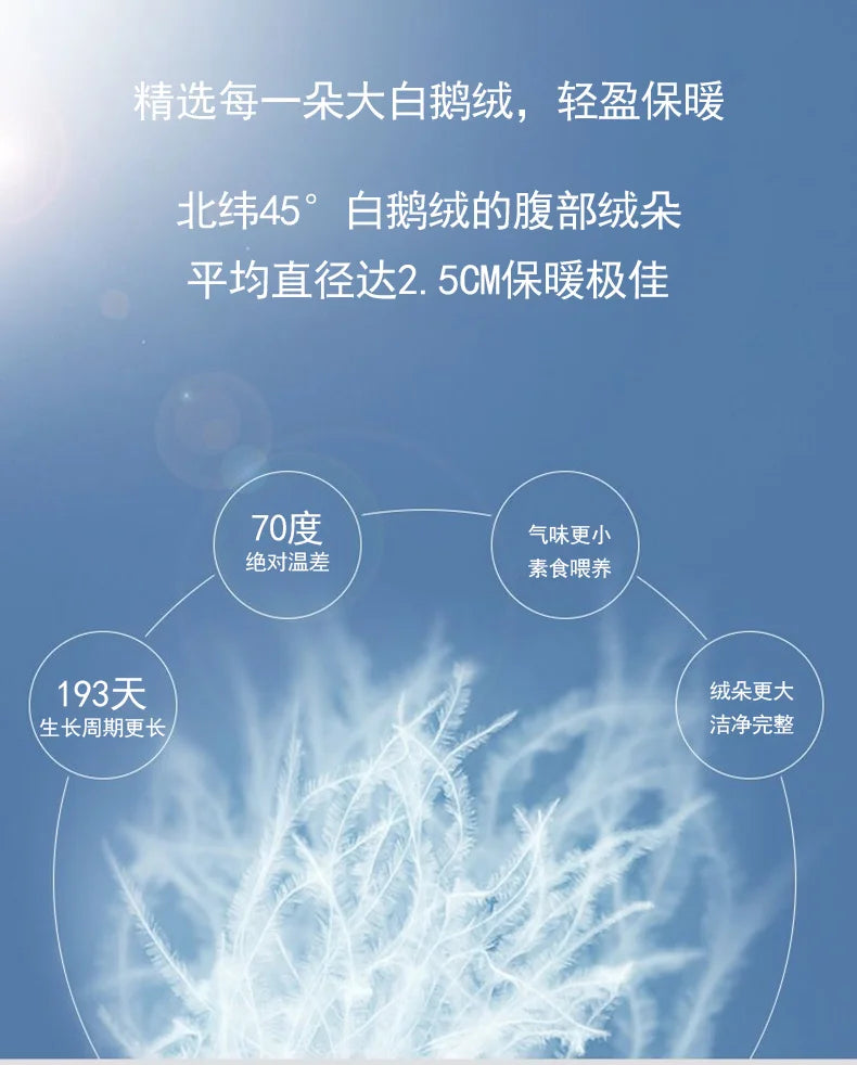 Goose Down Soft Duvet Luxury Blanket King Queen Twin Size Comforter Bedding Filler Bread Shape Super Warm Quilt.