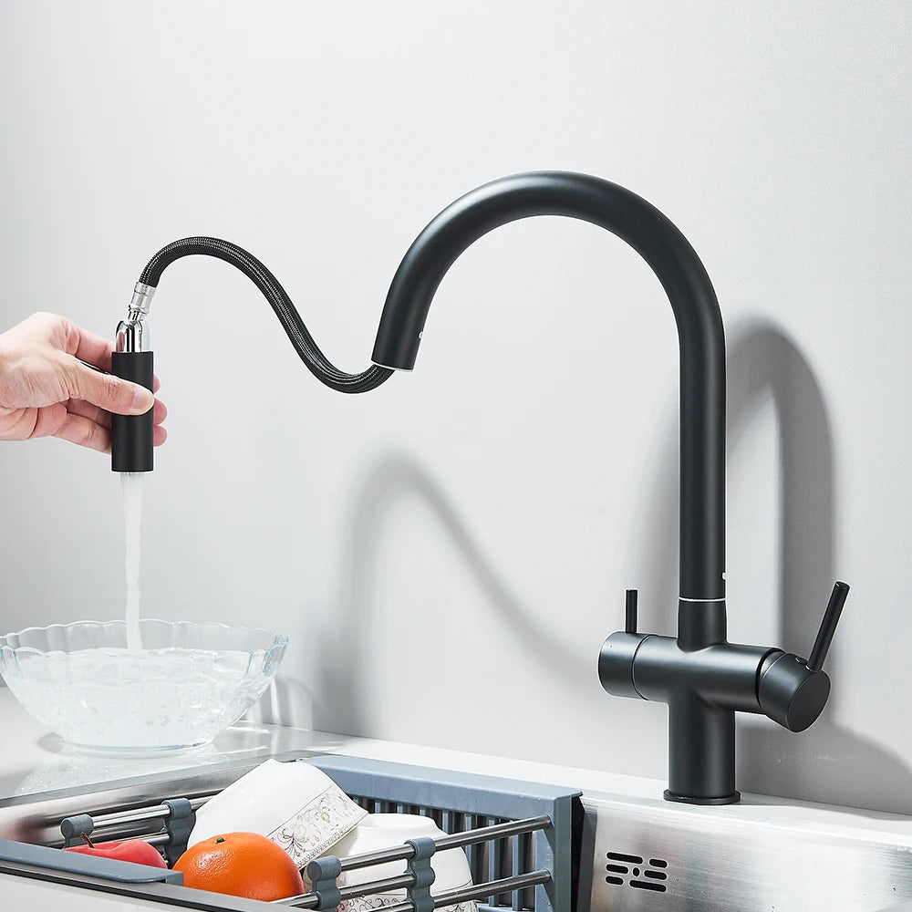 Filter Kitchen Faucet Pull Out Flexible Drinking Water Kitchen Faucets Dual Handle Metal 2 in 1 Hot Cold Water Mixer Tap