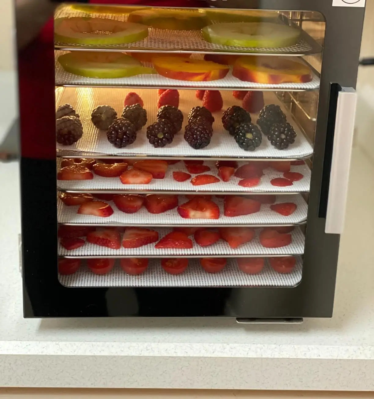 2pcs Silicone Sheet Steamer Pad Non-stick Food Fruit Dehydrator Mats Square Mesh Dehydrator Tray Steamer Mat for Fruit Dryer.