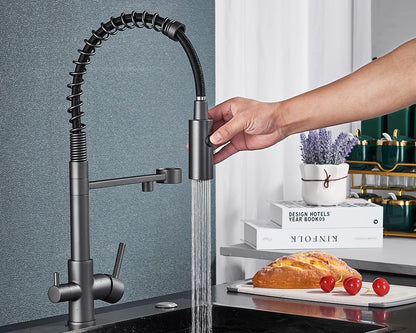 Black Filtered Kitchen Water Filter Kitchen Faucets Dual Spout Filter Faucet Mixer Water Purification Water Crane For Kitchen