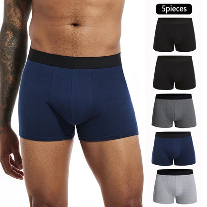 5 stücke Pack Baumwolle Boxer Briefs Männer shorts Höschen Unterwäsche Für Mann Marke Und Unterhosen Homme Luxus BoxerShorts Box Slip box