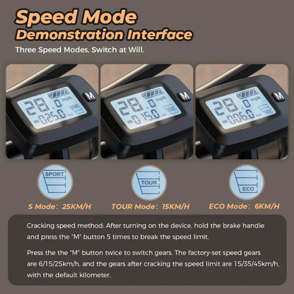 ISCOOTER F3 Electric scooter 1000W motor 48V13AH battery foldable electric scooter, adult electric scooter with seat 45 km/h.