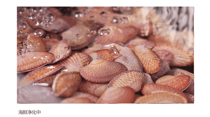 ASRAS Nanometer Smart Purifying Kitchen Sink Large Size Handmade Step Sink Smart Purifying Kitchen Island Sinks