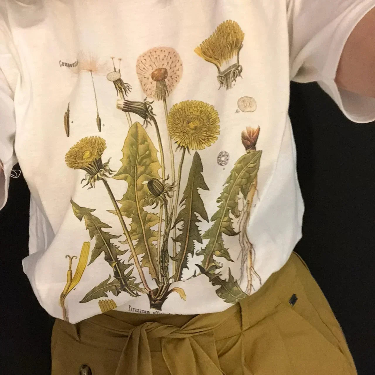Dandelion Botanical Graphic Tshirt Hiking Shirt Botanical Print Shirt Short Sleeve Cotton Oversized Tee Women Clothing Harajuku.
