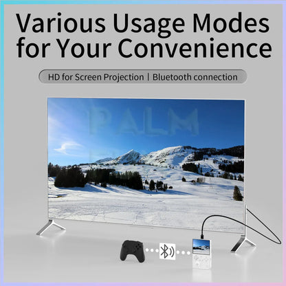 RG40XXV Retro Handheld Game Console 4.0 Inch 640*480 Screen Linux System 5G WiFi Bluetooth HDMI TV Output Video Game Player.