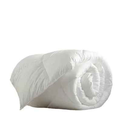 Down duvet 95 white goose down five-star hotel warm double single duvet core goose down duvet.