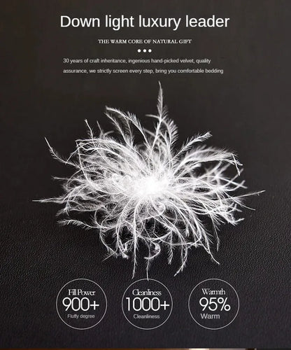 Down duvet 95 white goose down five-star hotel warm double single duvet core goose down duvet.