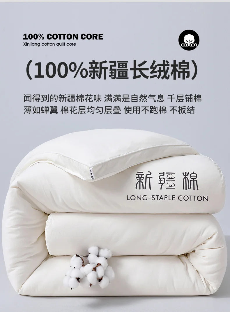 2025 new class A Xinjiang cotton thickened winter quilt spring and autumn quilt pure cotton quilt student dormitory warm.