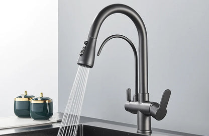 Quyanre Matte Black Filtered Crane For Kitchen Pull Out Spray 360 Rotation Water Filter Tap Three Ways Sink Mixer Kitchen Faucet