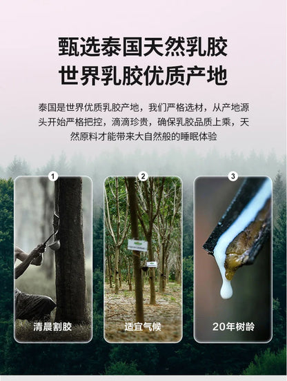 King Thailand Latex-Bettmatratze, hochwertige Molblly Tatami, faltbare Queen-Size-Matratze, Queen-Size-Schlaf, Colchoneta, Wohnmöbel