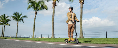 5TH WHEEL E30 ABE Adult Electric Scooter 350W Motor 36V 7.5AH Battery City Electric Scooter 8.5" Solid Tires Foldable E-Scooter