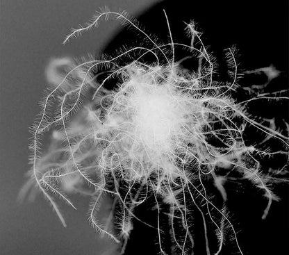 95% Goose Down Pillow for 5-Star Hotel Home,Pure Cotton Pillowcase,3D Bread Bedroom Sleeping Pillow,Adult Low-Mid-high almohadas.