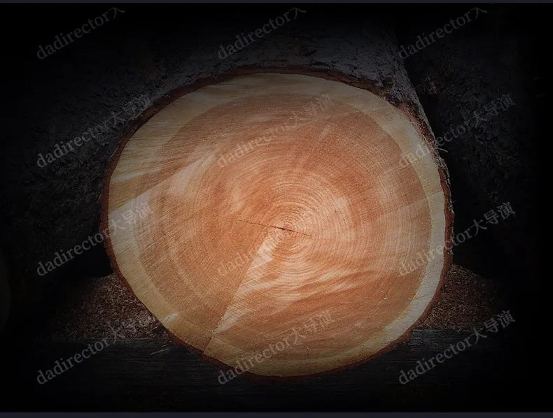 Europäische Prinzessin Bett Schlafen Ästhetik Hochzeit Hohe Qualität Erwachsene Ungewöhnliche Designer Bett Schlafzimmer Mode Muebles Möbel