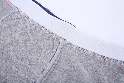 4 stücke Boxer Shorts Schlüpfer der Männer Homme Unterhose Boxershorts Unterwäsche für Mann Baumwolle Männliche Paar Sexy Set Calecon Lot weiche Box