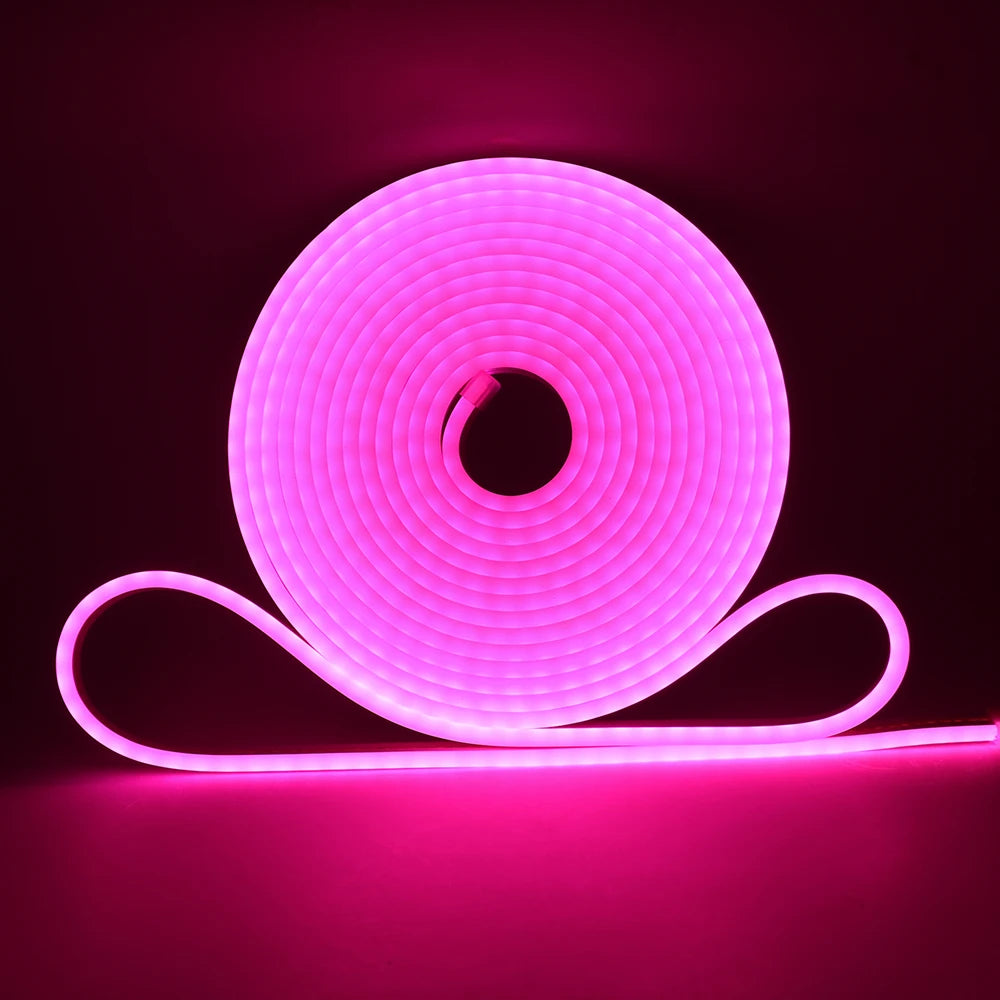 5V 12V 24V Neon LED Strip With 2Pin Wire 120LEDs/M IP67 Silicon Tube Bar Lamp Soft Flexible DIY Light Sign Rope 3000K-6500K