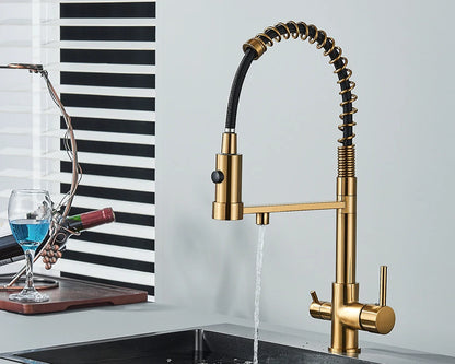 Black Filtered Kitchen Water Filter Kitchen Faucets Dual Spout Filter Faucet Mixer Water Purification Water Crane For Kitchen