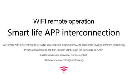 ASRAS Kitchen Sink Stainless Steel Nano Grey Kitchen Sink with Built-in Food Purifier, Hidden Cover & Adjustable Lift Faucet