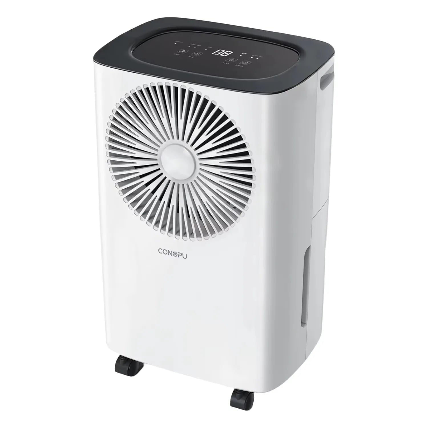 Dehumidifier 12 L/Day, Car Dehumidification, 24H Timer On/Off, Continuous Drainage, Room Dehumidifier, Suitable for Home/Basemen.