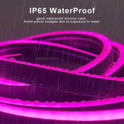 Tuya Smart WiFi LED Neon Light Strip 12V Black Silica Gel Tube RGB Bluetooth APP Neon Lamp Tape For Home Room Christmas Decor.