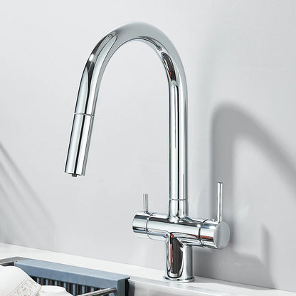 Filter Kitchen Faucet Pull Out Flexible Drinking Water Kitchen Faucets Dual Handle Metal 2 in 1 Hot Cold Water Mixer Tap