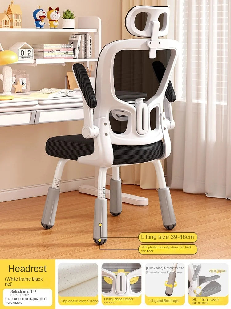 Computerstuhl, Heimsitz, Taille, Studentenschreibtisch, Arbeitsstuhl mit Lift und verstellbarer Rückenlehne