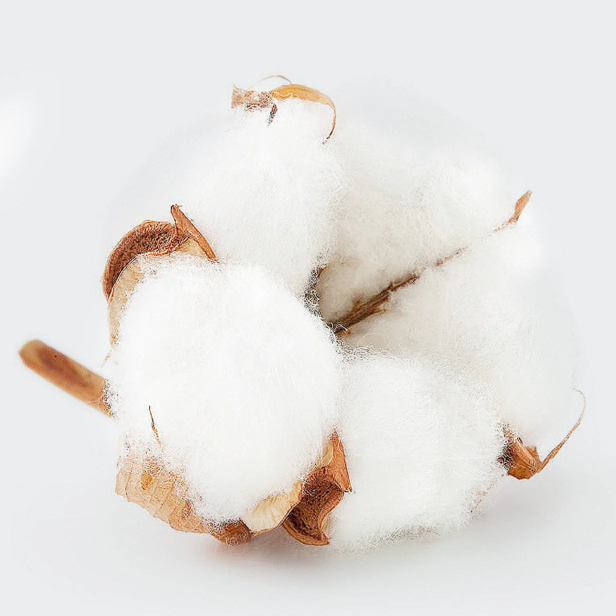 2025 Italian CC Glass Black Button Brand Style Men's Fleece-lined Windbreaker Jacket Zippered Suitable For Outdoor Sports Hoodie.