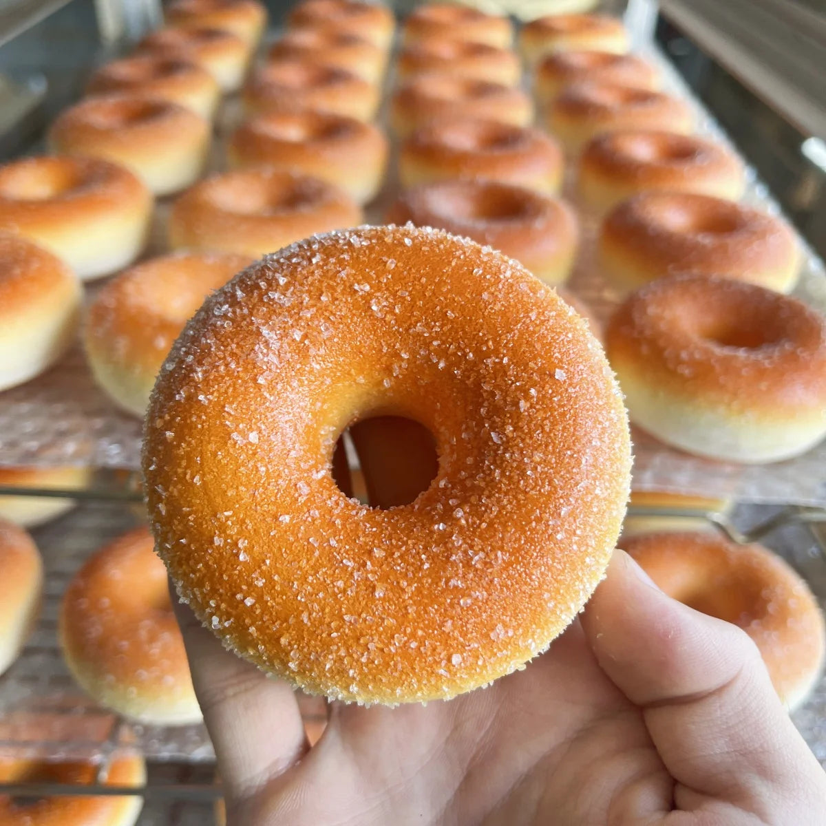 Real Life Size Donuts Doughnut Donut Simulation Food Bakery Window Display Kitchen Decor Shop Ornaments Fake Food Christmas.